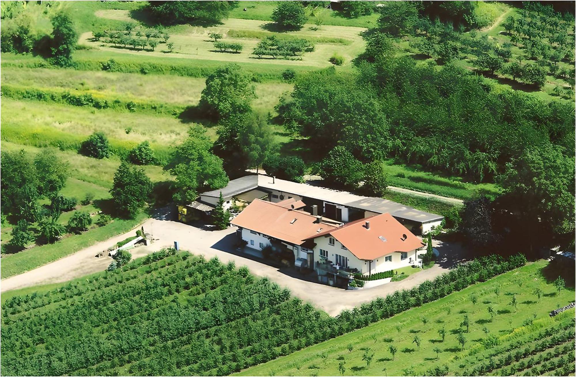 Weingut Ringwald Lejlighed Herbolzheim Eksteriør billede